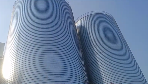 江北2座混凝土高架卷板仓